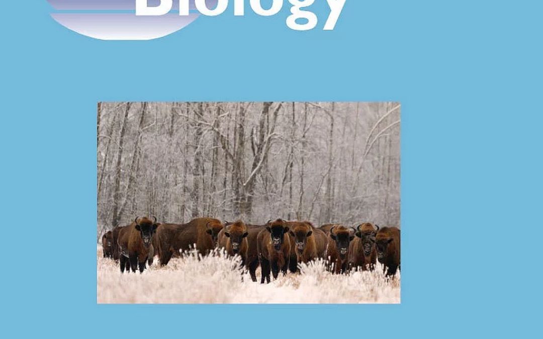 05.08.2019 – Białowieskie żubry na okładce Global Change Biology