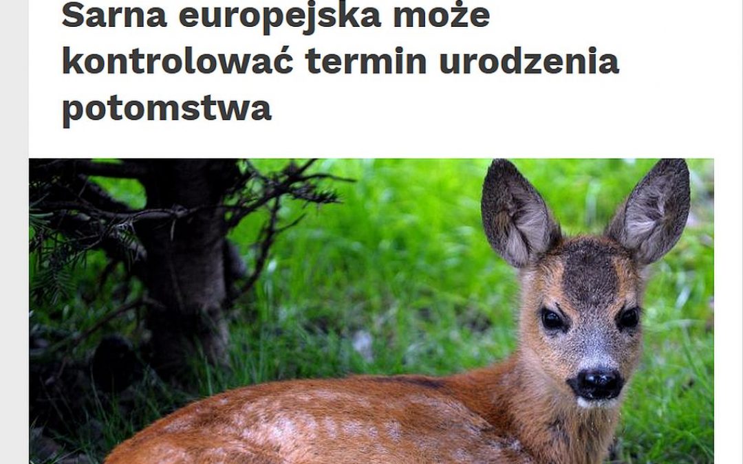 28.10.2019 – Nauka w Polsce o rozrodzie ssaków kopytnych