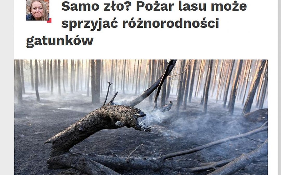 03.03.2020 – Pożar lasu może sprzyjać różnorodności biologicznej