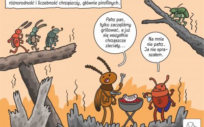 08.04.2020 – Komiks naukowy o chrząszczach na pożarzysku