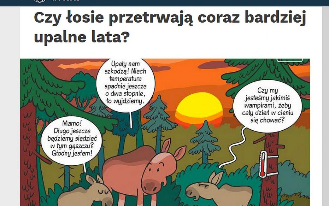 06.05.2020 – Nauka w Polsce o wpływie upałów na zachowanie łosi!