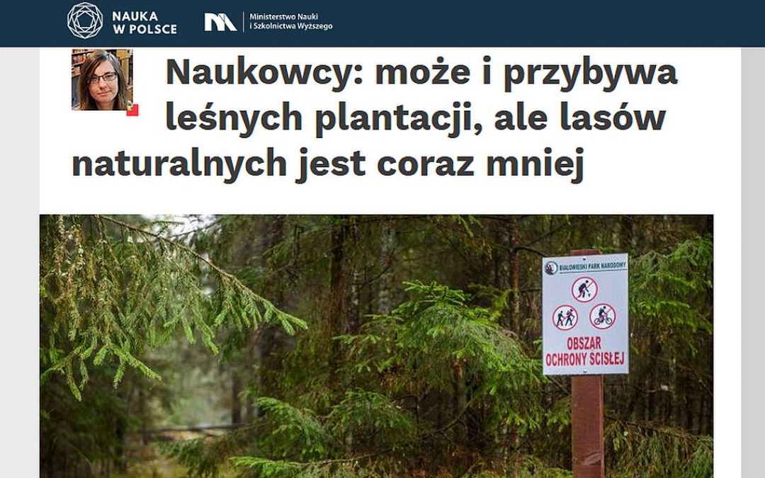 06.08.2020 – Naukowcy o gospodarce leśnej w Polsce I Europie