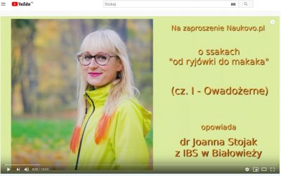 10.09.2020 – Cykl krótkich opowieści o ssakach już do posłuchania na Naukovo.pl!