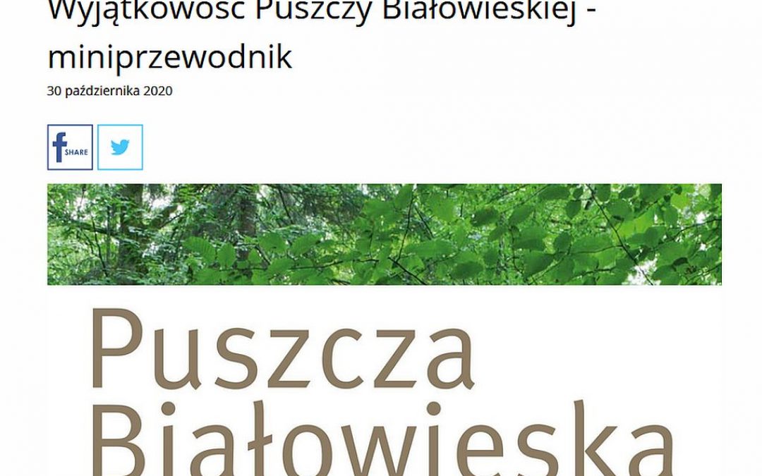 02.11.2020 – O Puszczy Białowieskiej w Polskim Radiu Białystok