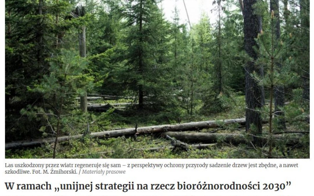 18.02.2021 – Unijna strategia sadzenia drzew a bioróżnorodność