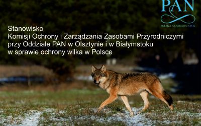 08.03.2021 – Stanowisko Komisji Ochrony i Zarządzania Zasobami Przyrodniczymi PAN w sprawie ochrony wilka w Polsce