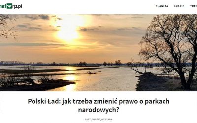 02.06.2021 – Wywiad z Dyrektorem IBS PAN na temat parków narodowych i Polskiego Ładu!