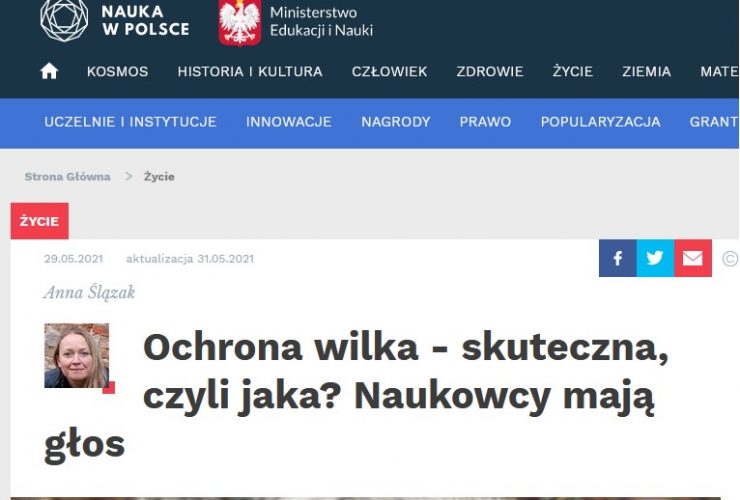 01.06.2021 Jak chronić wilki w Polsce