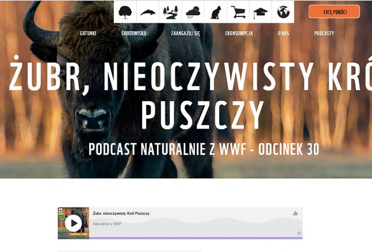 30.09.2021 – Żubr, nieoczywisty król Puszczy