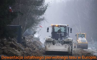 03.02.2022 – Płot graniczny zagrożeniem dla Puszczy Białowieskiej
