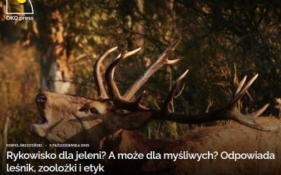 02.10.2022 – Rykowisko jeleni i polowania!