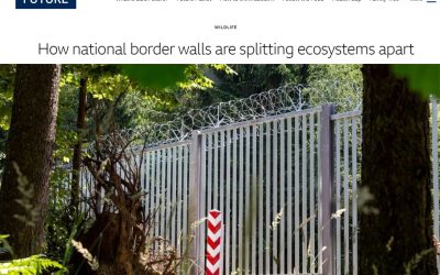 15.12.2022 – artykuł o wpływie zapory granicznej na ekosystem