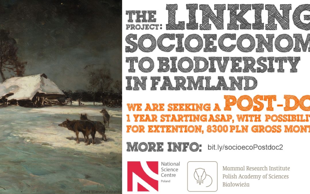 Konkurs na stanowisko postdoca w projekcie NCN “Linking socio-economy to biodiversity in farmland”