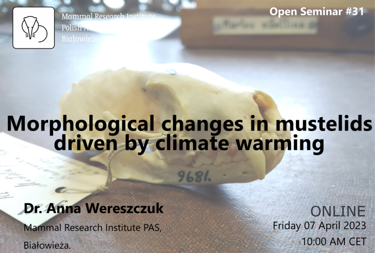 MRI PAS Open Seminar #31 – 7.04.2023