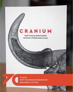 Cranium - okładka książki