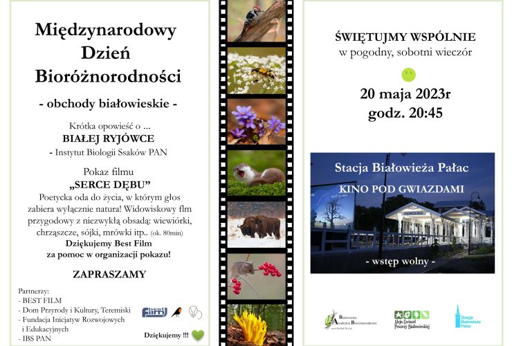 Międzynarodowy Dzień Różnorodności Biologicznej w Białowieży – 20 maja 2023