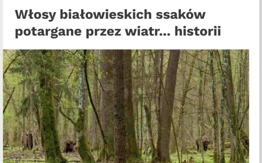06.12.2023 – Nauka w Polsce o badaniach włosów białowieskich ssaków
