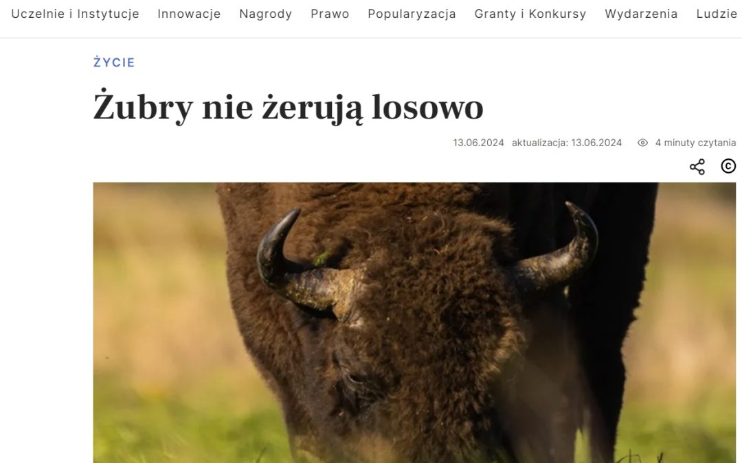 17.06.2024 – Nauka w Polsce o badaniach nad strategiami żerowania żubrów