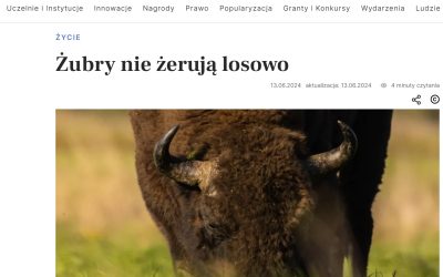 17.06.2024 – Nauka w Polsce o badaniach nad strategiami żerowania żubrów