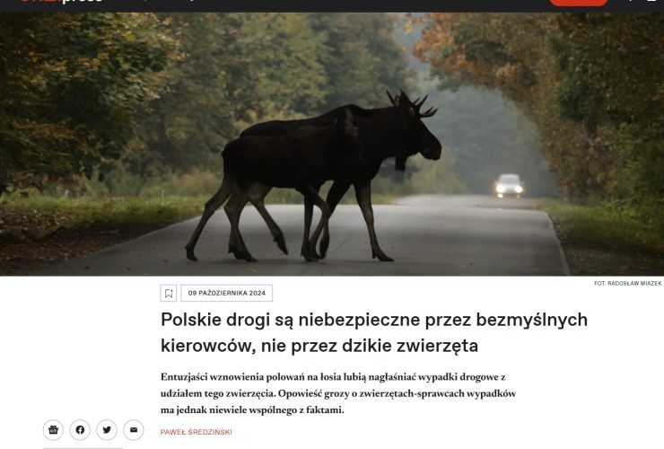 09.10.2024 – OKO.press o dzikich zwierzętach na drogach