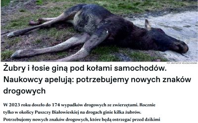 24.01.2025 – OKO.press o nowych znakach drogowych