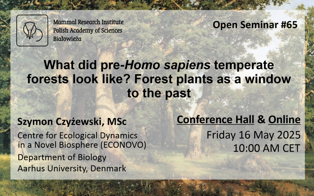MRI PAS Open Seminar #65 – 16.05.2025