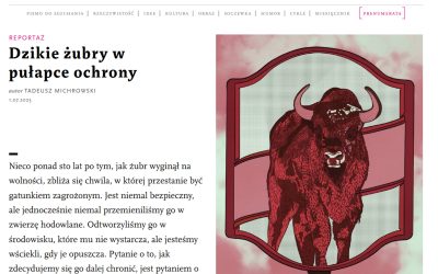 09.07.2025 – Dzikość pod nadzorem
