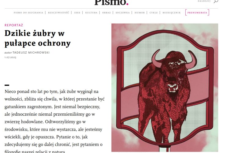 09.07.2025 – Dzikość pod nadzorem