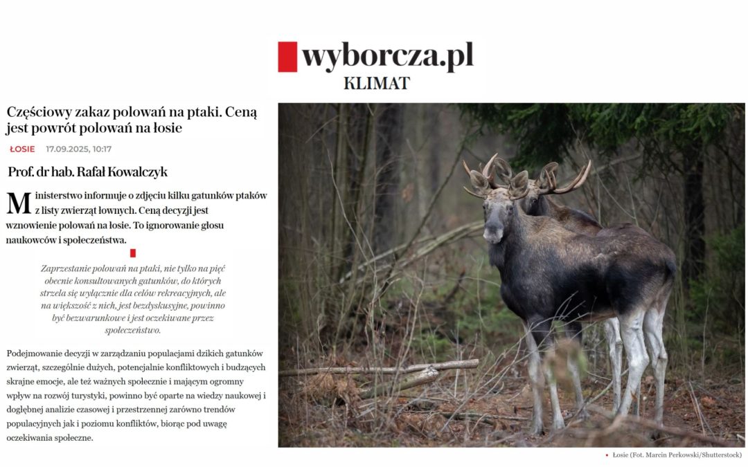 17.09.2025 – prof. Kowalczyk o planach polowania na łosie