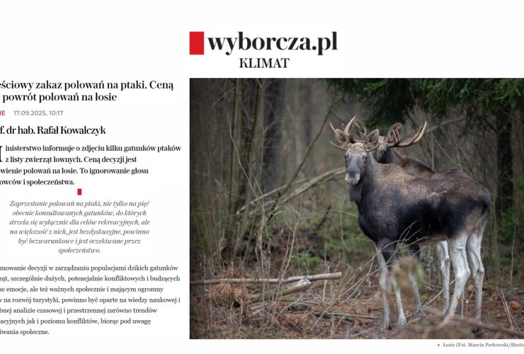 17.09.2025 – prof. Kowalczyk o planach polowania na łosie