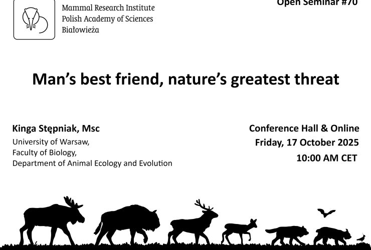 MRI PAS Open Seminar #70 – 17.10.2025