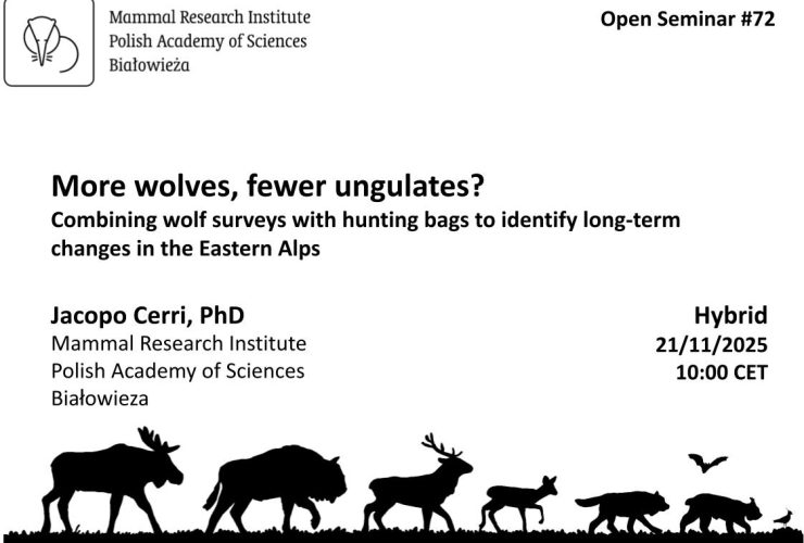 MRI PAS Open Seminar #72 – 21.11.2025