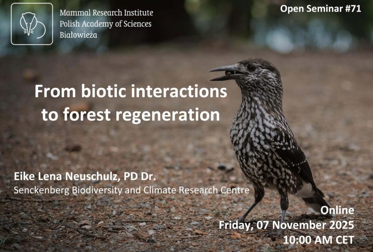 MRI PAS Open Seminar #71 – 7.11.2025