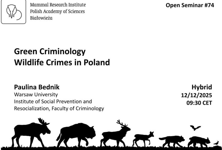 MRI PAS Open Seminar #74 – 12.12.2025