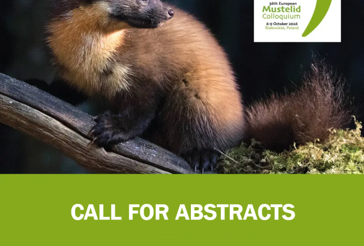 Nabór abstraktów na Białowieża Ecology Conference 2026 – 36th European Mustelid Colloquium