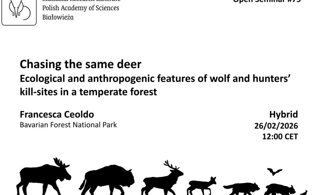 MRI PAS Open Seminar #75 – 26.02.2026