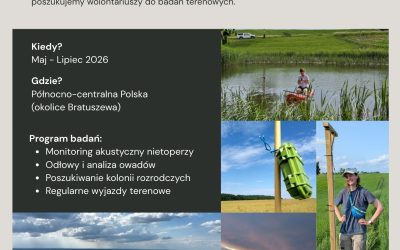 24.02.2026 – Szukamy wolontariuszy