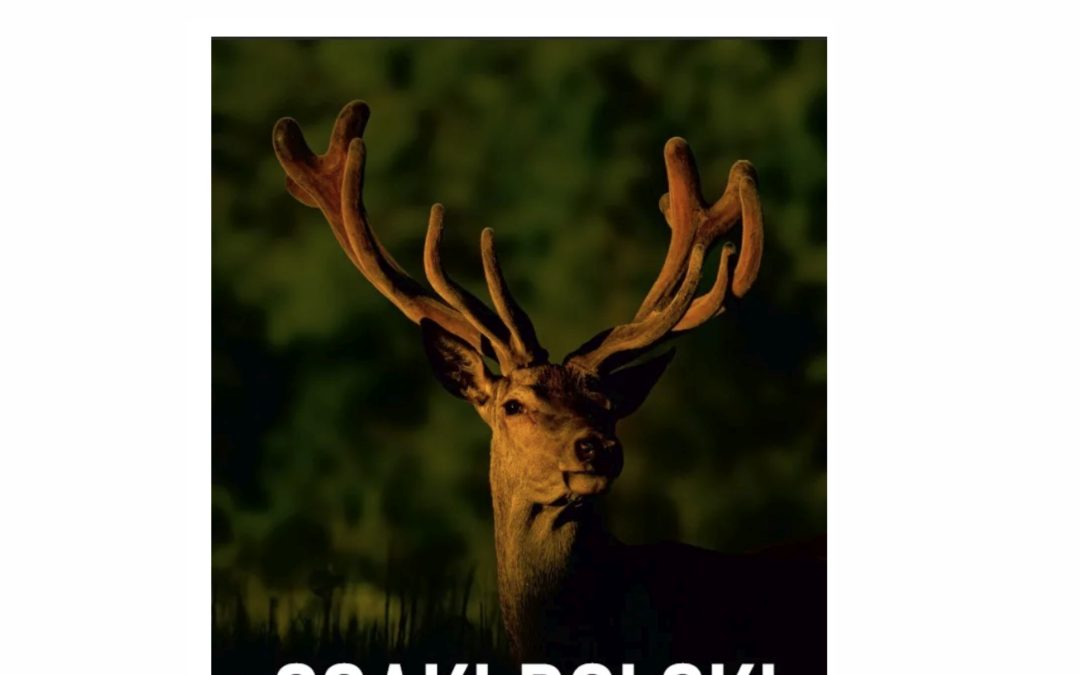 27.02.2026 – Nauka w Polsce o „Ssakach Polski”