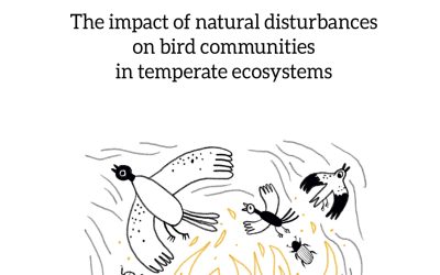 16.03.2026 – publiczna obrona rozprawy doktorskiej mgr. Michała Walesiaka