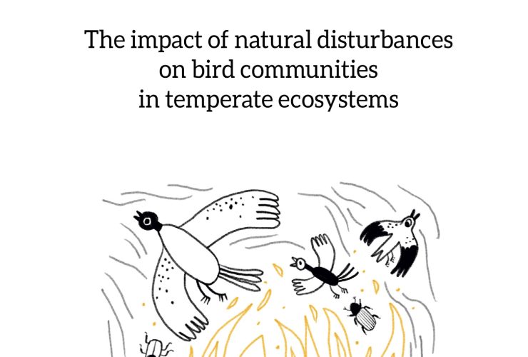 16.03.2026 – publiczna obrona rozprawy doktorskiej mgr. Michała Walesiaka