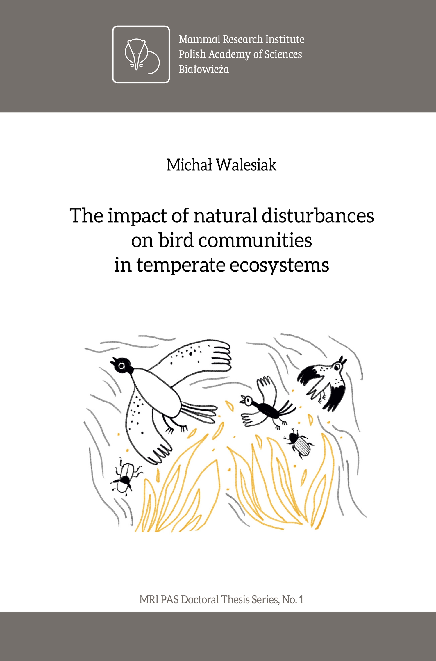 Strona tytułowa rozprawy