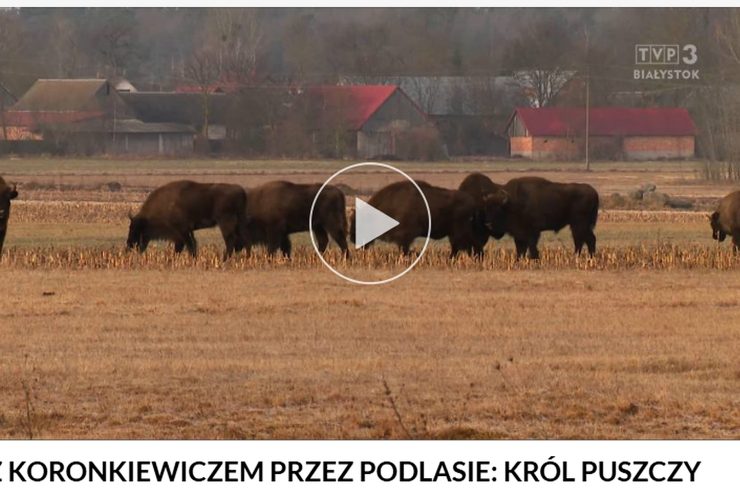 25.03.2026 – Król Puszczy i turystyka