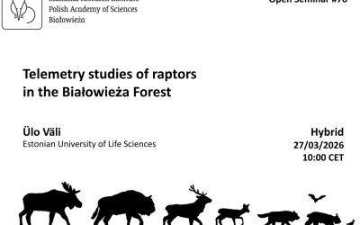 MRI PAS Open Seminar #76 – 27.03.2026