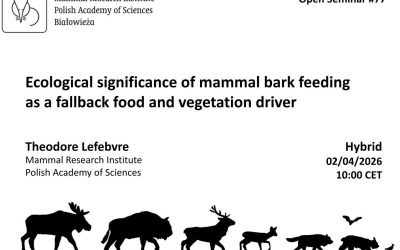 MRI PAS Open Seminar #77 – 2.04.2026