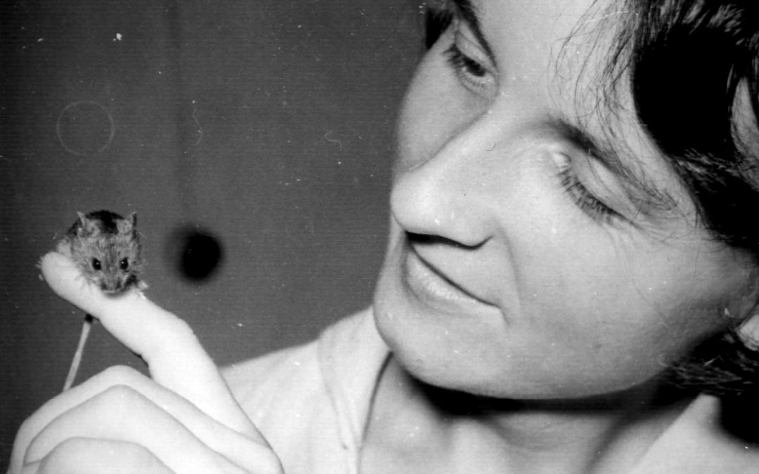 26.05.2026 – zmarła Pani dr Michalina Pucek