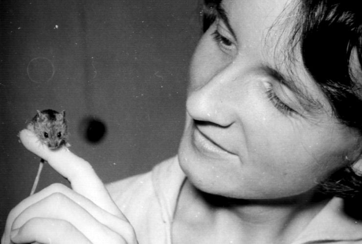 26.05.2026 – zmarła Pani dr Michalina Pucek