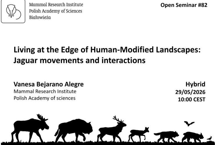 MRI PAS Open Seminar #82 – 29.05.2026