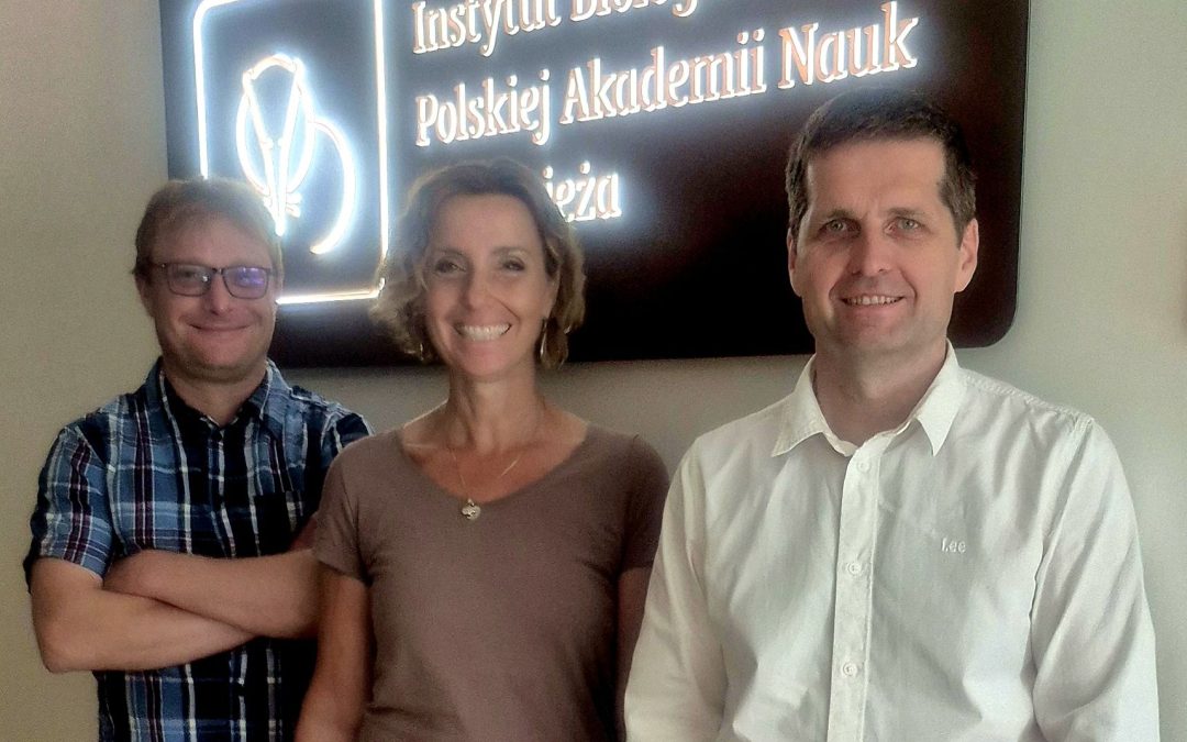 20.07.2026 – Nowe granty w IBS PAN!