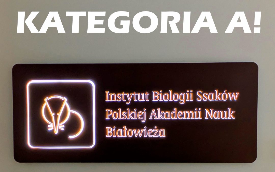 23.07.2026 – IBS PAN z kategorią A!