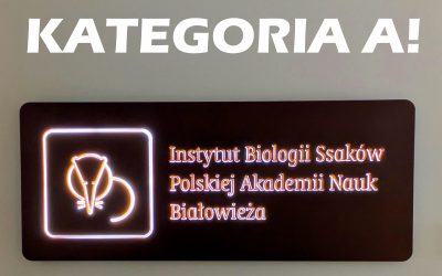 23.07.2026 – IBS PAN z kategorią A!